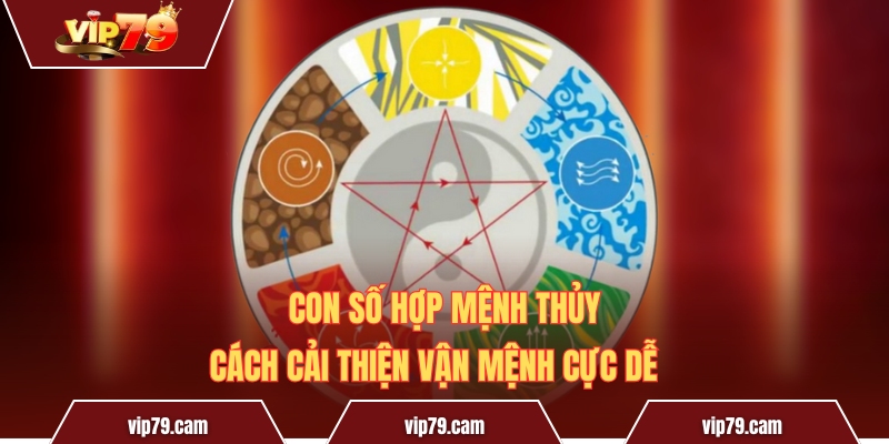 Con Số Hợp Mệnh Thủy - Cách Cải Thiện Vận Mệnh Cực Dễ
